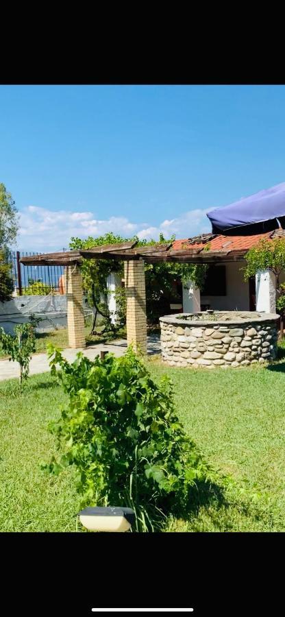 Village Dimopoulos Rodhodhafni Bagian luar foto