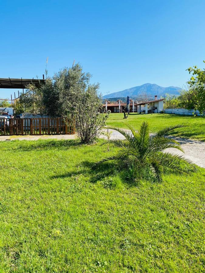 Village Dimopoulos Rodhodhafni Bagian luar foto